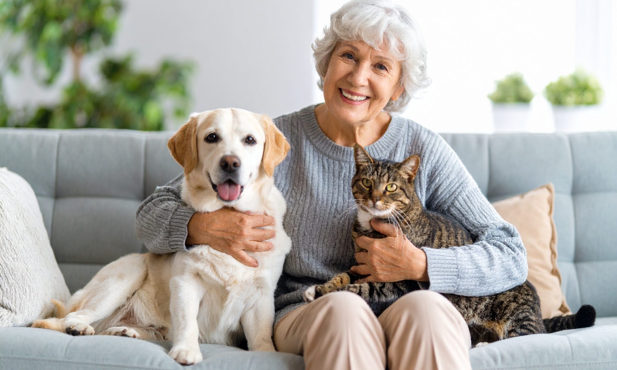 How Do Pets Enhance the Wellbeing of Dementia Patients?
