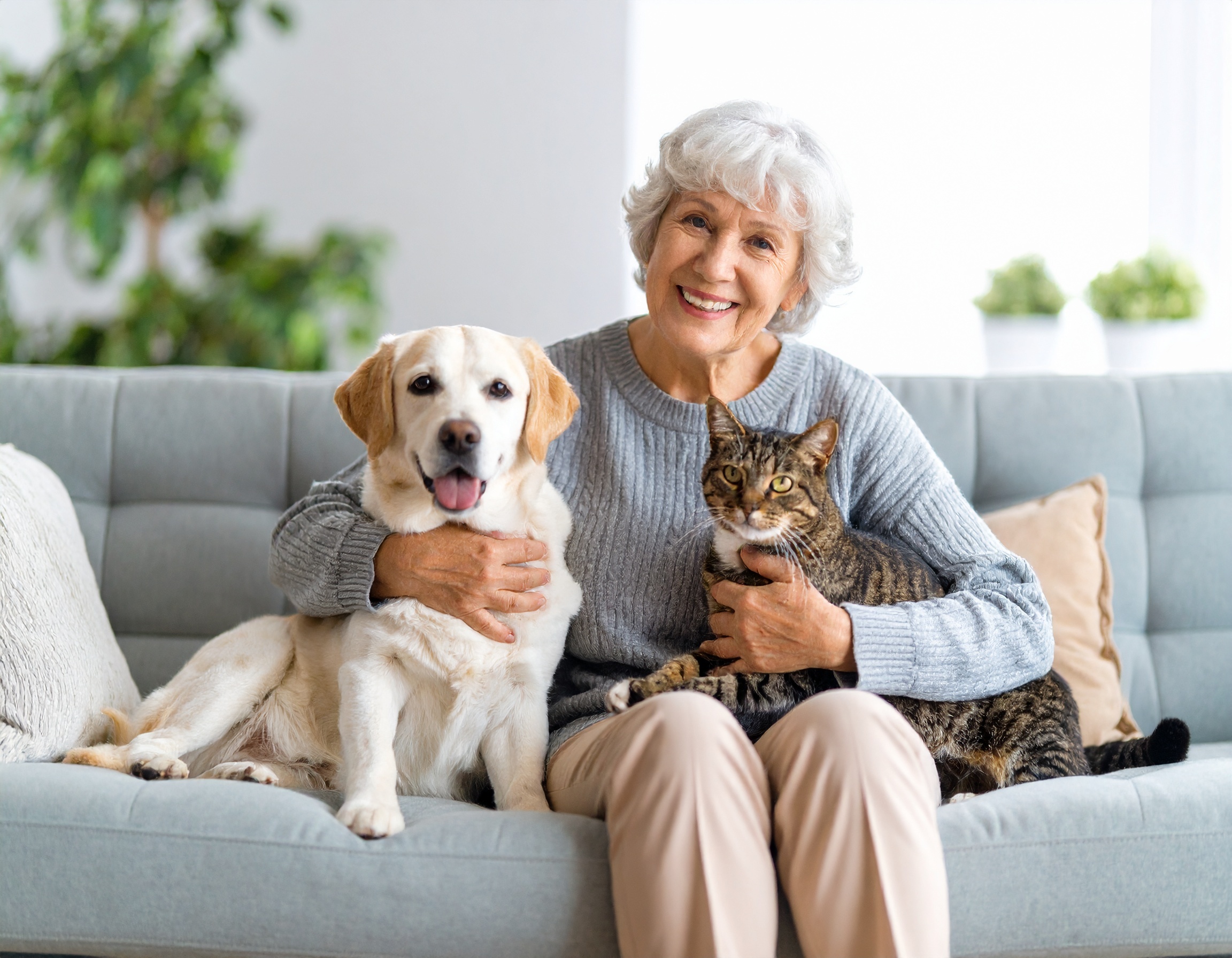 How Do Pets Enhance the Wellbeing of Dementia Patients?